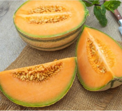 Melon Charentais